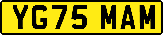 YG75MAM