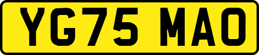 YG75MAO