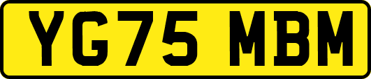 YG75MBM