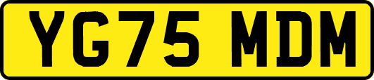 YG75MDM