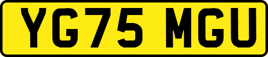YG75MGU