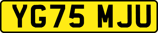 YG75MJU