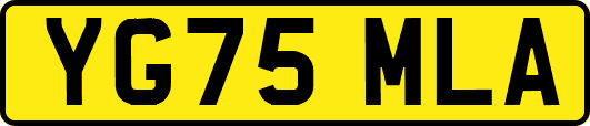 YG75MLA