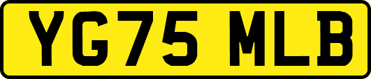 YG75MLB