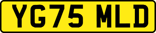 YG75MLD