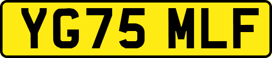 YG75MLF