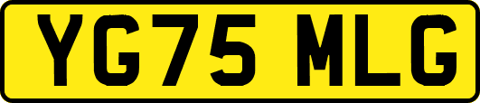 YG75MLG