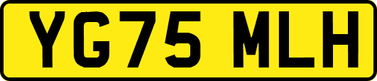 YG75MLH