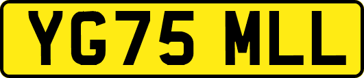 YG75MLL