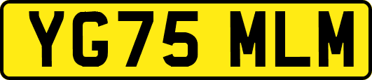 YG75MLM