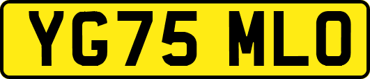 YG75MLO