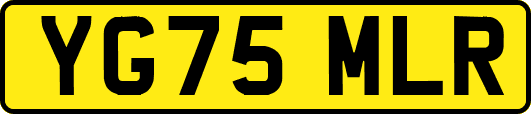 YG75MLR