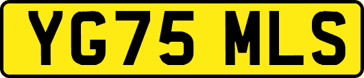 YG75MLS