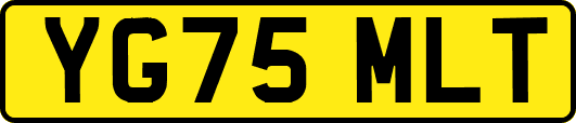 YG75MLT