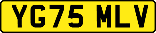 YG75MLV