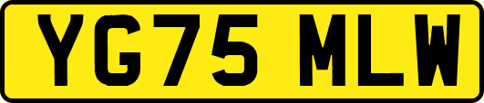 YG75MLW