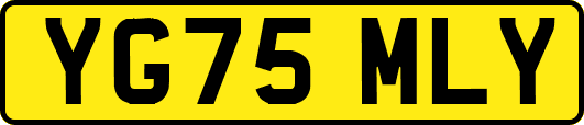 YG75MLY