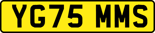 YG75MMS