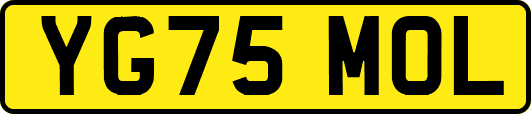 YG75MOL