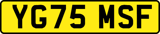 YG75MSF