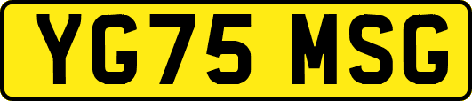 YG75MSG