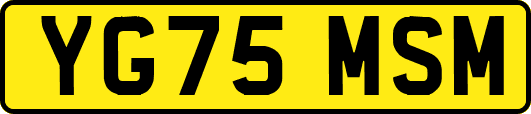 YG75MSM