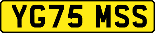 YG75MSS