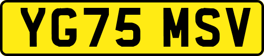 YG75MSV