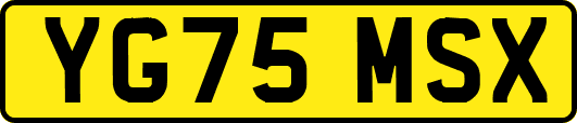 YG75MSX