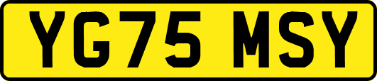 YG75MSY
