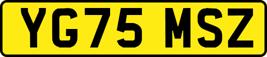 YG75MSZ