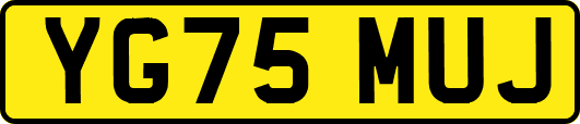 YG75MUJ