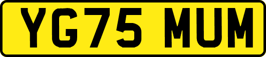 YG75MUM