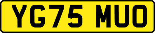 YG75MUO
