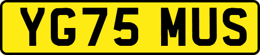 YG75MUS