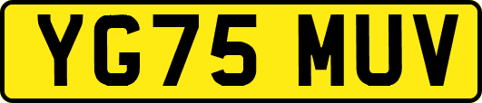 YG75MUV