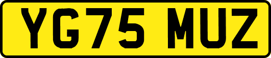 YG75MUZ
