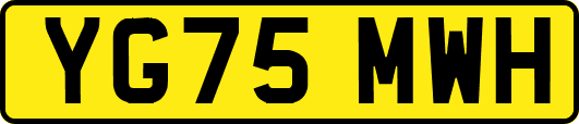 YG75MWH