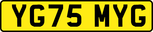YG75MYG