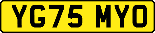 YG75MYO