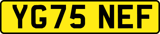 YG75NEF
