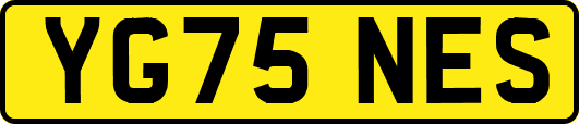 YG75NES
