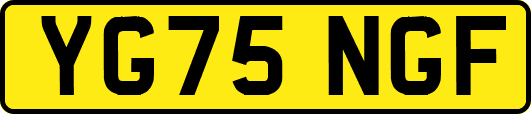 YG75NGF