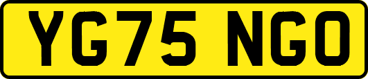 YG75NGO