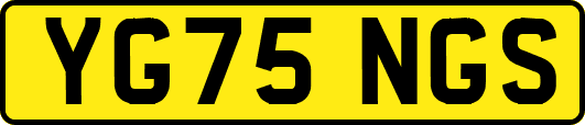 YG75NGS