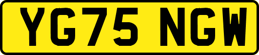 YG75NGW