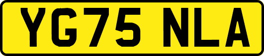 YG75NLA
