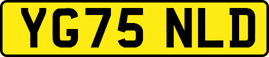 YG75NLD