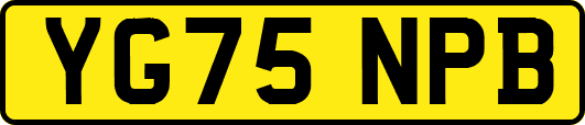 YG75NPB