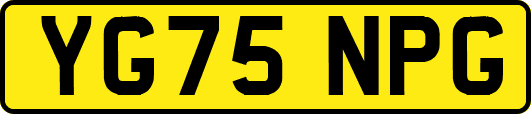 YG75NPG